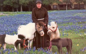 angela in bluebonnets