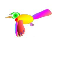 bird