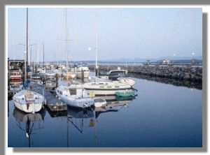 boats